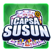 Capsa Susun